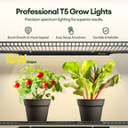 Maygrove T5 Grow Lights for Indoor Plants 2FT, Red-Enhanced Full Spectrum 5000K Grow Light, 60W(4 x 15W), Grow Light Strips for Seed Starting, Greenhouse, High PPFD, Linkable, Black, 4-Pack