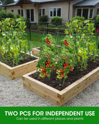 MYMULIKE 2 Pack Cucumber Trellis, Garden Trellis for Climbing Plants Outdoor, A-Frame Cucumber Trellis for Raised Bed, Plant Grow Support for Tomato, Squash, Vegetable, Flower(33"x47"x2Pcs)