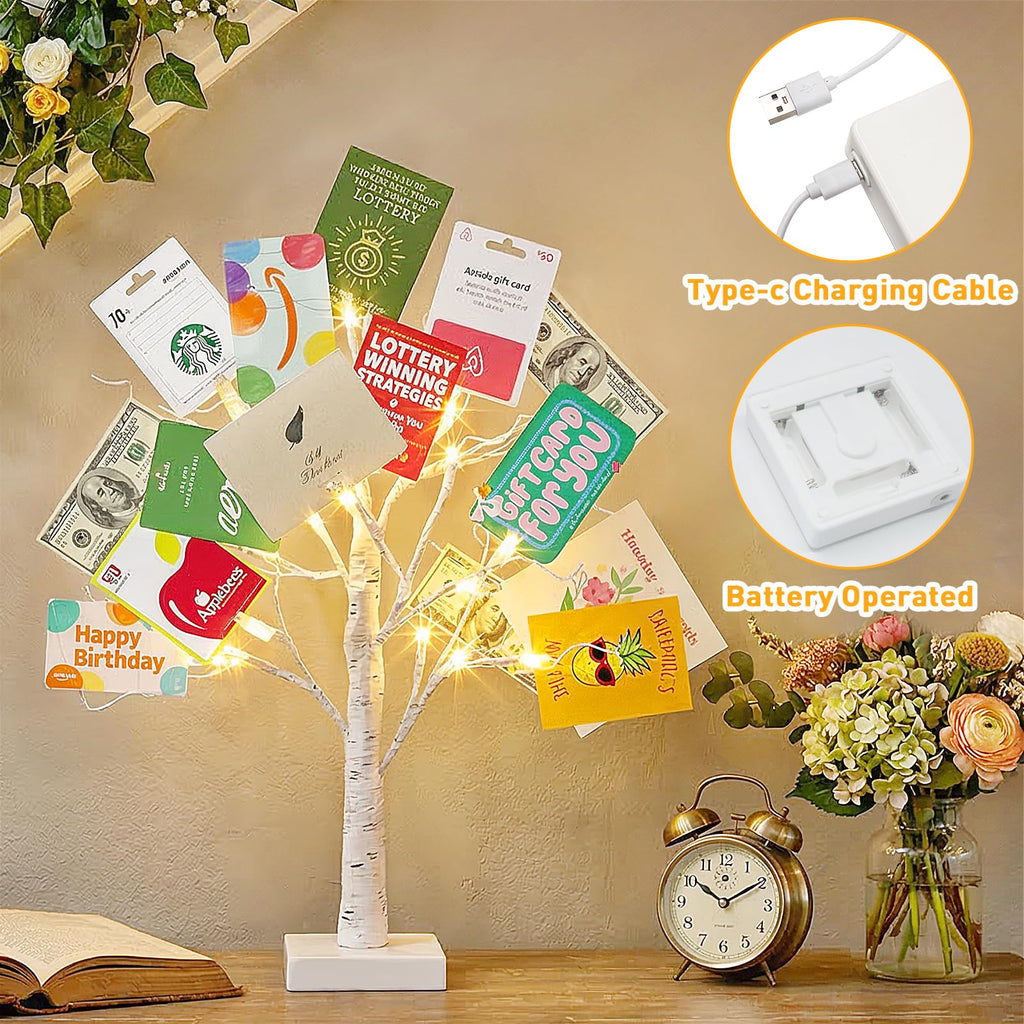 EAMBRITE Money Tree Gift Holder, Lighted Birch Tree 2FT 24LED, Battery/USB Powered Timer Light Up Display Twig Gift Card Tree with 12 Clear Clips and 6 Cards for Home Christmas Graduation Photo Memo