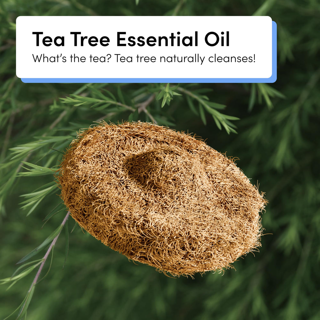 TUSHY Tea Tree Coconut Husk Scrubbing Pads, Cleanser-Infused, 16 Pack