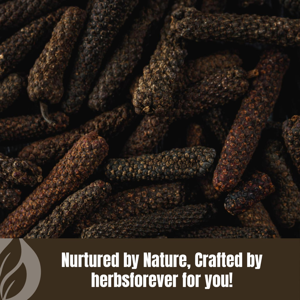 HerbsForever Pippali (Piper longum) Fruit, Powder |Cold Relief, Digestion & Gut Health Spices for Meat Seasoning| Wild Harvested-Non GMO, Vegan- 2X Potency,Ultra Clean,Steam Treated |230 GMS- ½LBS