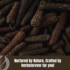 HerbsForever Pippali (Piper longum) Fruit, Powder |Cold Relief, Digestion & Gut Health Spices for Meat Seasoning| Wild Harvested-Non GMO, Vegan- 2X Potency,Ultra Clean,Steam Treated |230 GMS- ½LBS