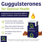 GlucodOX AMPK Activator Supplement – AMPK Enzyme, Metabolism Booster, Guggul Supplement for Body Management & Longevity – Vegan Metabolic Support - 30 Day Supply (60 Capsules)