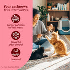 Fresh Step Advanced Clean Paws Multi Cat Clumping Cat Litter, 18.5 lb, 2 Pk
