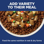 Hill's Science Diet Sensitive Stomach & Skin Small & Mini Dry Dog Food