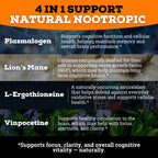 Brain Complex Addifocus™ Brain Supplements For Memory and Focus (Plasmalogen, Lions Mane, Vinpocetine 10mg & Ergothioneine) Memory Supplement for Brain, Brain Defender Supplement, Brain Health