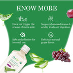 AloeCure USDA Organic Aloe Vera Juice Grape Flavor, Made Within 12 Hours of Harvest - Pure Aloe Vera Digestive & Immune Health Supplement, Helps Maintain Balanced Stomach Acidity, 16.7oz x 2 Btls