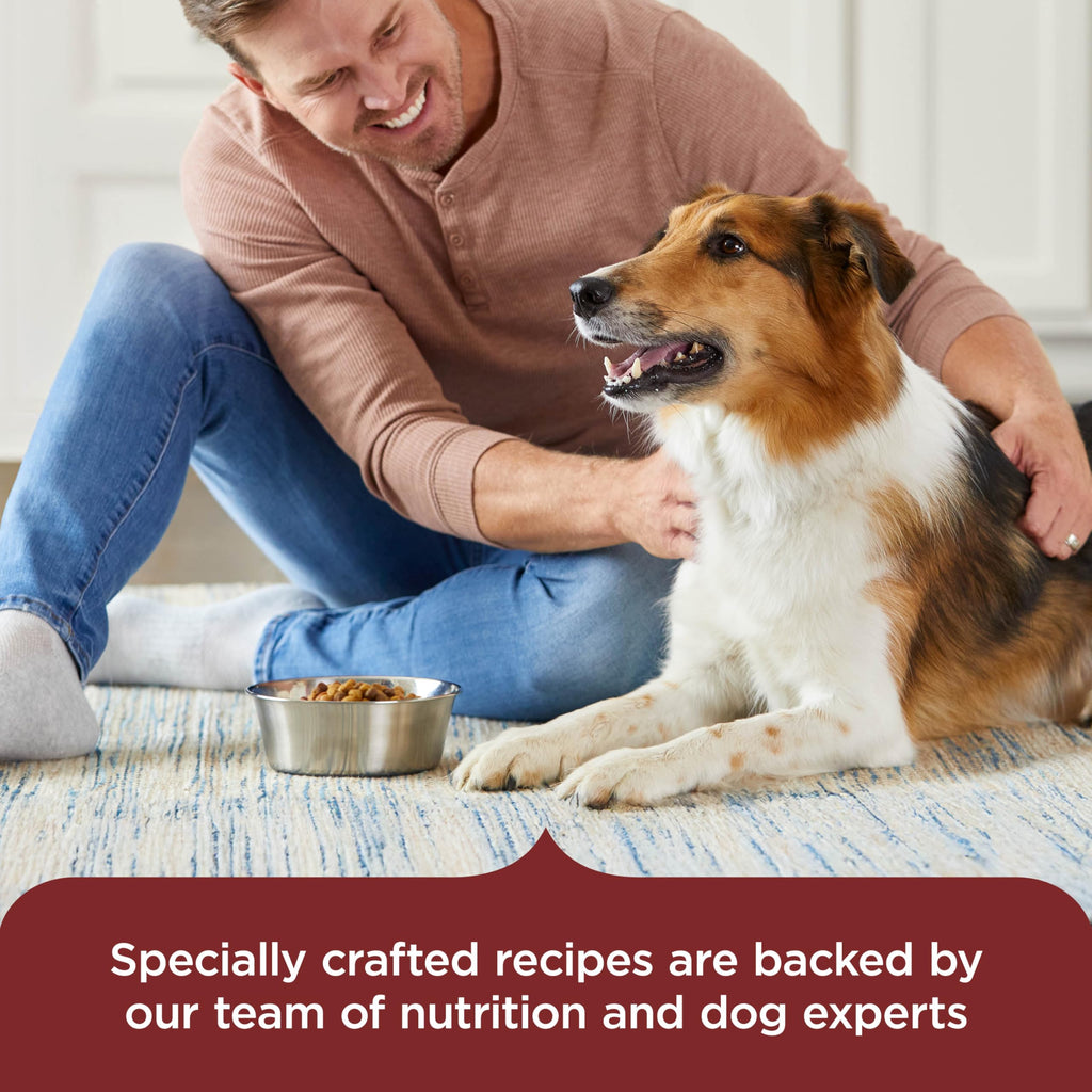 Nutrish Dry Dog Food, Beef, Pea & Brown Rice, 40 lb. Bag (Rachael Ray)