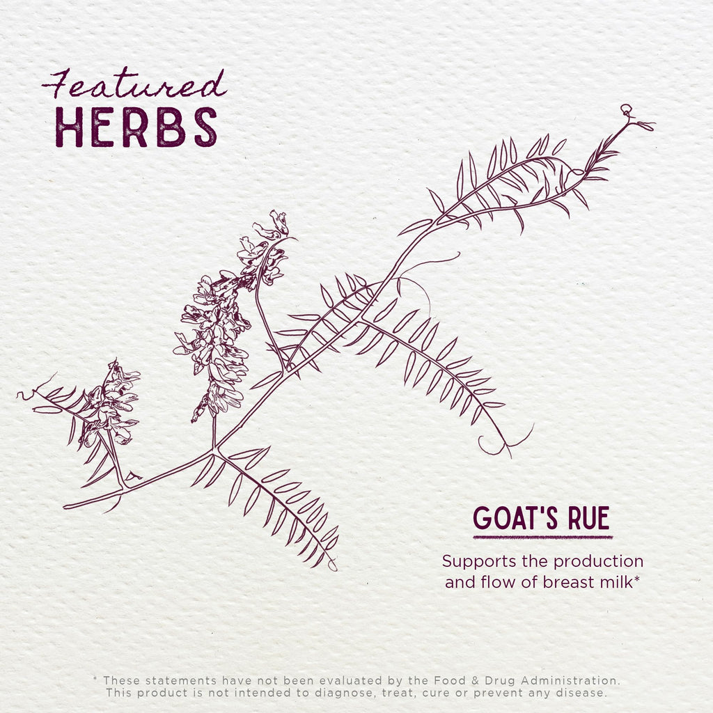 WishGarden Herbs Goat's Rue Lactation Supplement - Organic Herbal Tincture to Increase Breastmilk Supply, Fenugreek Free Lactation Supplement, Breast Milk Supply Boost, Flow, Quality & Production, 2oz