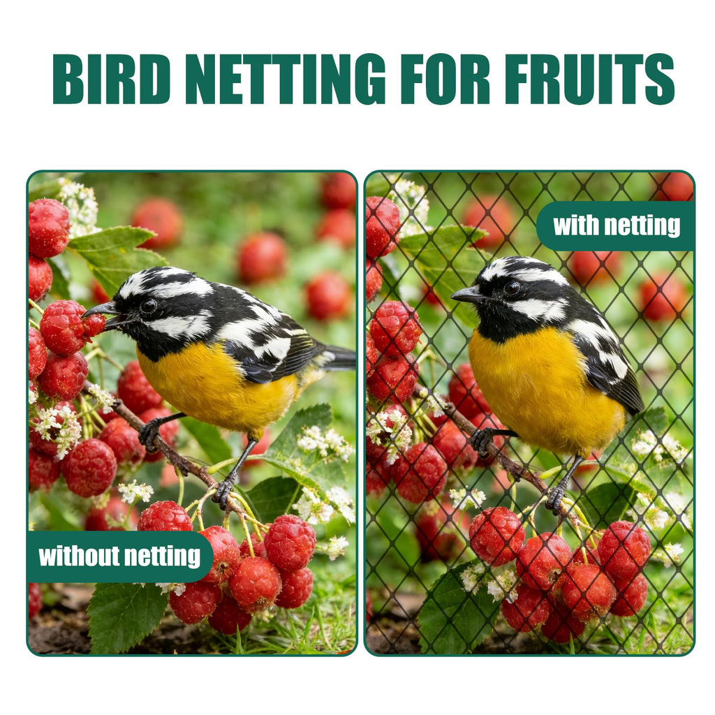 Vandham 25x50ft Heavy Duty Bird Netting, 1.6" Mesh for Garden Fruit Trees