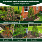 A-Frame Cucumber Trellis for Raised Bed, 50"x 16" Adjustable Heavy Duty Metal Garden Trellis for Climbing Plants Outdoor, Plant Support for Tomatoes Pea Bean Grape Vining Vegetables (2 Pack)
