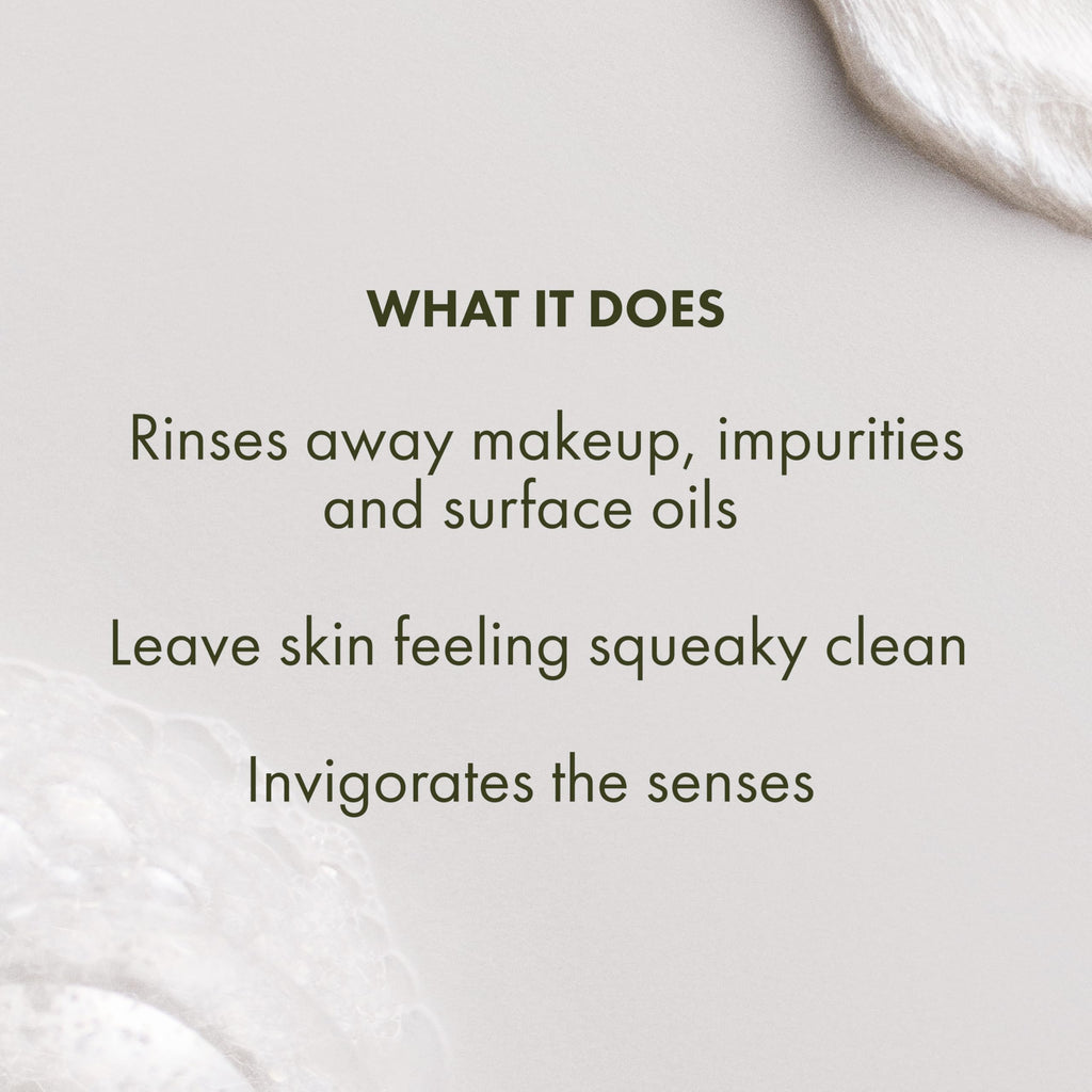 Origins Checks and Balances Frothy Face Wash | Gentle Face Cleanser for All Skin Types | With Mint, 5 Fl Oz
