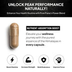 Pure Prana Shilajit Ashwagandha Safed Musli Gokshura for Men - Himalayan Power Blend