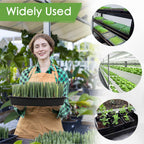 6 Pack Microgreens Growing Kit, Microgreens Trays for Indoor Gardening