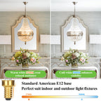 Dimmable E12 Candelabra LED Light Bulbs 60 Watt Equivalent, 6W 630LM Chandelier Light Bulb 2700K Soft Warm White, Vintage LED Filament Clear Glass Candle Light Bulbs, 90+ CRI, No Flicker, 12-Pack