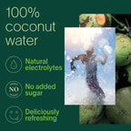 Zico 100% Coconut Water, NO added Sugar, Refreshingly Delicious, Hydration with Electrolytes, 16.9 Fl Oz (Pack of 12)