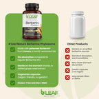 B’Leaf Nature Berberine Phytosome, 120 Capsules – 1100mg Berberine Supplement for Metabolic and Cardiovascular Support – Vegan, Gluten-Free, Non-GMO Berberine Phytosome Capsules for Immune Wellness