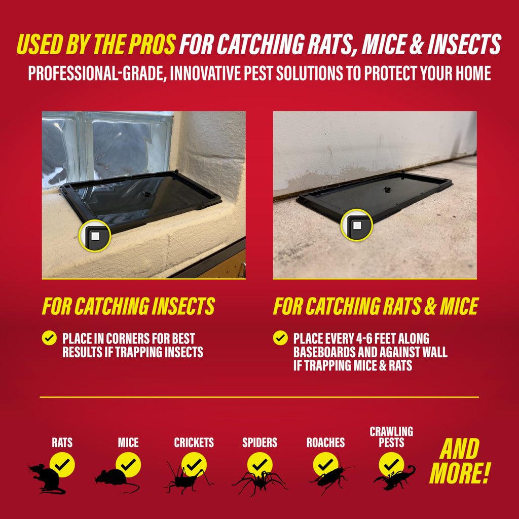 Catchmaster Rat & Mouse Glue Traps with Sticky Putty 6Pk, Large Bulk Glue Board, Rat & Mouse Traps Indoor for Home, Adhesive Plastic Tray for Snakes, Mice & Spiders, Pest Control for House & Garage