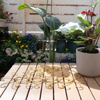 YOHSNOR 5PCS Monstera Plant Support Hooks-Gold 5.5in Stem Supports