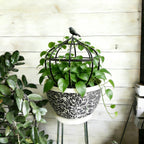 aboxoo Sturdy Metal Garden Obelisk Trellis, 11.5"x11.5"x18" Plant Support
