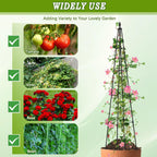 AlisisFores Garden Trellis for Climbing Plants Outdoor, 63 inch Tall,2 PCS
