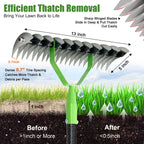 Heavy Duty Thatch Rake, 13" Dual-Sided, 21 Carbon Steel Tines, 70" Handle