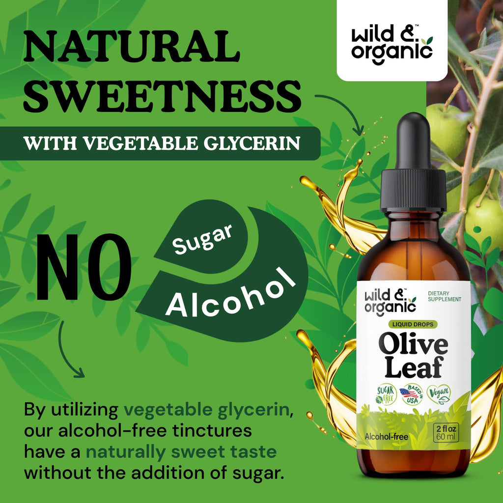 Wild & Organic Olive Leaf Extract Liquid Drops - Immune & Antioxidant Support - Oleuropein Olive Leaf Supplement - Add to Tea Tincture - Vegan, Sugar & Alcohol-Free - 2 fl oz
