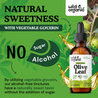 Wild & Organic Olive Leaf Extract Liquid Drops - Immune & Antioxidant Support - Oleuropein Olive Leaf Supplement - Add to Tea Tincture - Vegan, Sugar & Alcohol-Free - 2 fl oz