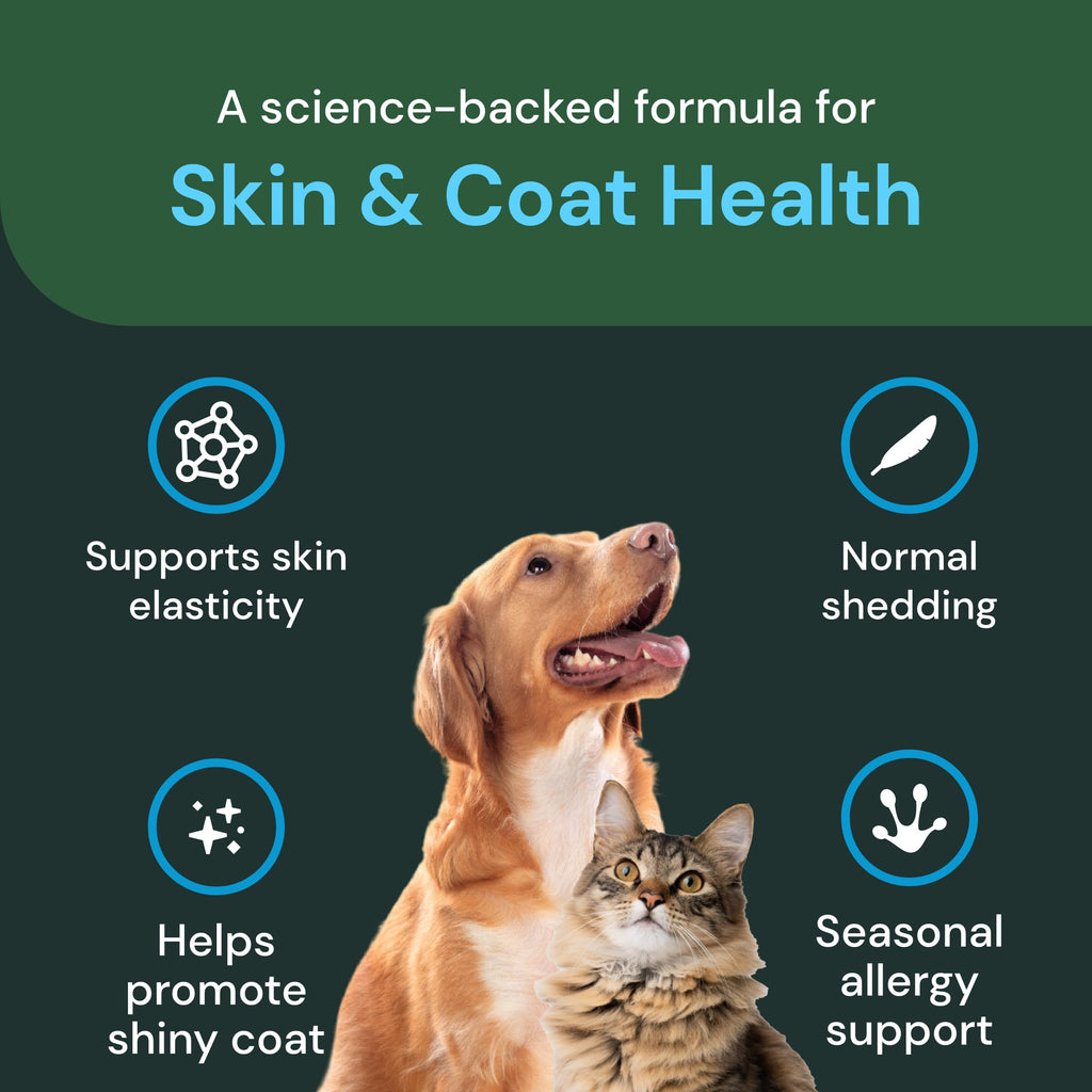 VetriScience Vetri-Flex Chews for Dogs over 60 pounds - Veterinary Recommended Canine Joint Supplement for Hips and Knees - 60 Soft Chews