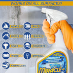 MiracleMist Instant Cleaner for Indoor and Outdoor Use, 32 oz | 2 Pack (64 OZ Spray)