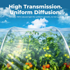 MTYIK 8x25 ft Greenhouse Plastic Sheeting, 6 Mil Green House Plastic Covering, Heavy Duty Greenhouse Cover Replacement, Thick Greenhouse Film