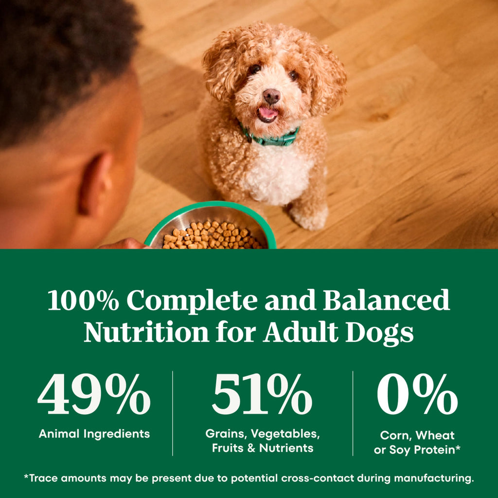 Nutro Natural Choice Small Breed Dry Dog Food, Chicken & Rice, 5 lb
