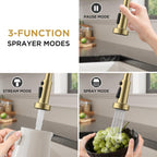 FORIOUS Kitchen Faucets with Sprayer, Gold Stainless Steel Sink Faucet Single Handle with Deck Plate, Commercial Classic Spring Faucet for Kitchen Sink, Bar & Prep Sinks, Laundry RV Camper