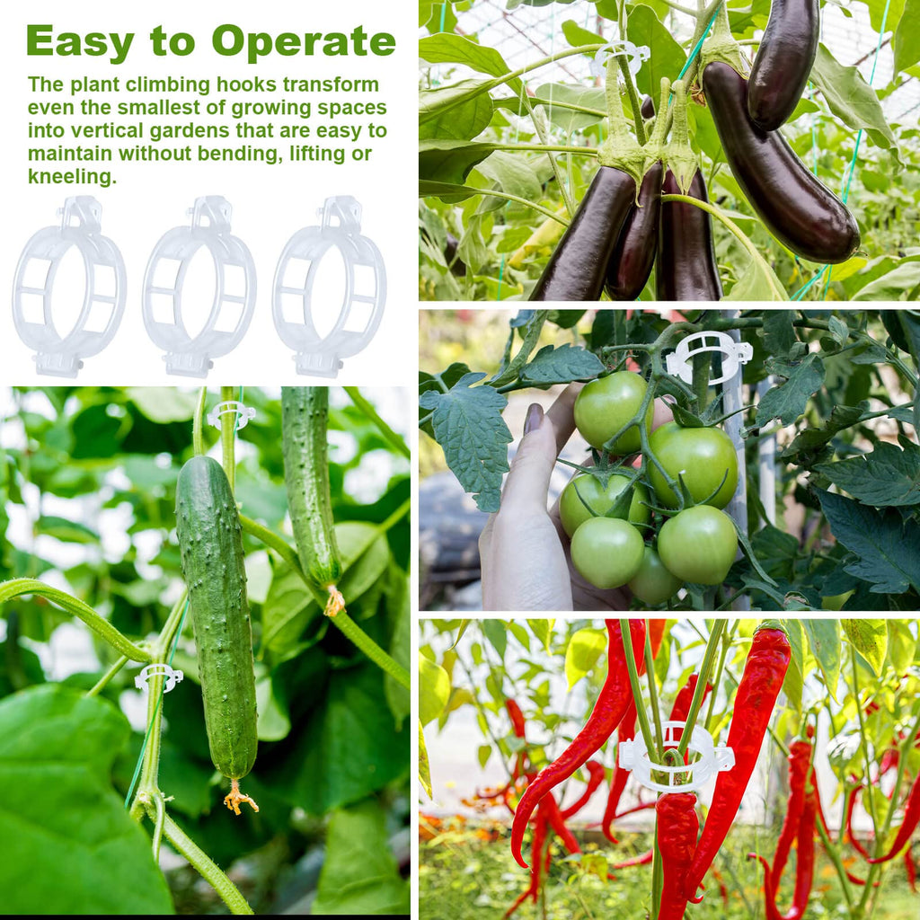 HFXXAD 70Pcs Tomato Hooks with String, Tomato Support Hooks, Tomato Holder Hooks & Plant Support Clips with 33.3ft Twine to Prevent Tomatoes from Pinching or Falling Off