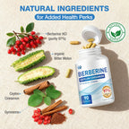 WACHRAY Berberine Supplement 1500mg - Berberine with Ceylon Cinnamon, Berberine HCl 97% Purity Complex Supplements, Non-GMO Vegan, 90 Capsules