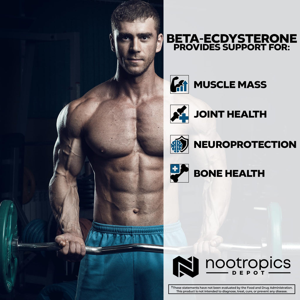 Nootropics Depot Beta Ecdysterone/20-Hydroxyecdysone 50% Capsules | 500mg | Cyanotis Arachnoidea Extract | Phytoecdysteroid | 30 Count