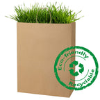 BagDream Large Paper Bags with Handles 13x7x17 Inch Kraft Brown 50 Pcs Bulk