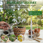 Bonsai Tools Set 3-Piece – Knob Cutter, Concave Cutter & Scissors for Trim