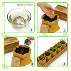 5 Herb Garden Kit with Wooden Box – Basil, Thyme, Parsley, Rosemary, Mint – Windowsill Herb Garden for Kitchen – Mother’s Day Gift for Mom, Gardening Gift for Women – Birthday Housewarming
