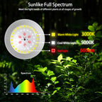 Danshinro Outdoor LED Grow Light, Waterproof String Plant Growing Light, 21 FT Full Spectrum Growth Light, Suitable for Garden, Farm, Flower, Seedling Greenhouse Grow Light (6 Light)