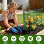 10 Pack Plant Protectors from Animals | 30PCS 13"x13" Metal Wire Mesh Garden Plant Cages for Gardening Supplies | Chicken Wire Cloche Plant Protectors for Rabbits Chickens Ducks