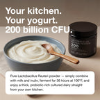 L Reuteri Yogurt Starter & Probiotic Powder – Ultra High Strength 200 Billion CFU Pure Lactobacillus Reuteri – 3rd Party Tested, Shelf-Stable, Single-Strain – 20g