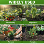 Plant Protector from Animals with Detachable Covers - 4 Pack 16”x 16" Wire Cage Cloches with Ground Stakes and Tools for Protecting Vegetable, Flower, Seedling