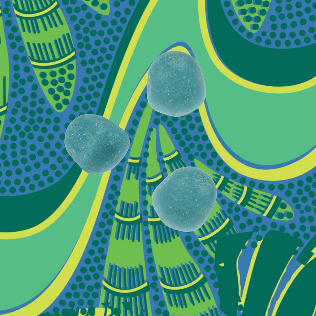 Kuli Kuli Organic Sea Moss & Blue Spirulina Gummies, 60 CT