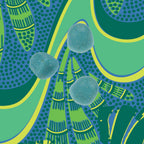Kuli Kuli Organic Sea Moss & Blue Spirulina Gummies, 60 CT