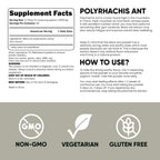 Jungle Powders Black Ant Extract Powder 30:1, 5 Ounces, 94 Servings | Pure Polyrhachis Black Ant Supplement, Changbai Mountain Ant Traditional Mens Health Support for Drive, Contains 5% Maltodextrin