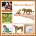 Toymany 8PCS Realistic Lion Tiger Cheetah Leopard Figurines Toy