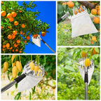 Fruit Picker Pole with Basket Telescoping, 11.5FT Fruits Picker Tool