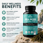 HerbaMe Organic Sea Moss Supplement with Bladderwrack & Burdock Root, Irish Moss with Black Pepper Extract, Daily Mineral Support for Energy & Wellness, Immune Support for Men & Women, 150 Capsules