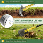 Thatch Rake, 15-Inch Wide Manual Dethatcher Rake for Cleaning Dead Grass, Loosening Soil, 55" Efficient Steel Metal Dethatching Rake with Long Adjustable Handle, Thatch Rakes for Lawns, Yard, Garden